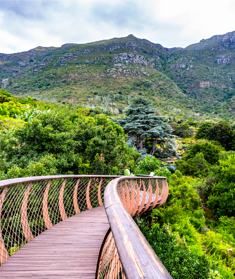 Kirstenbosch Botanical Gardens