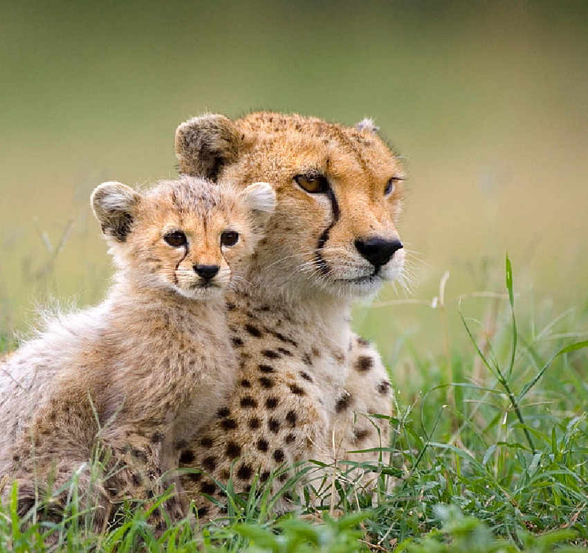 Alphen_Itineraries. Southern Sojourn. Banner