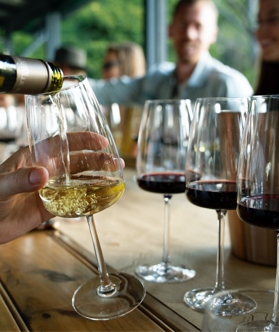 Constantia Valley Wine Experiences