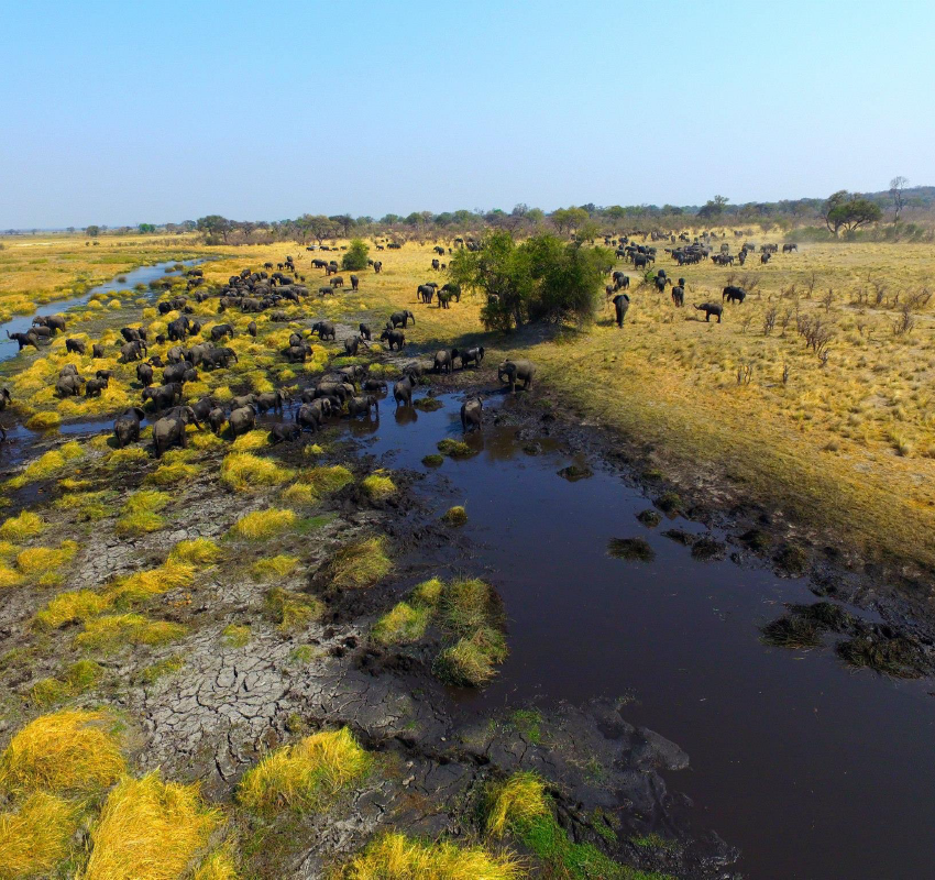Alphen_Itineraries. Caprivi. Banner