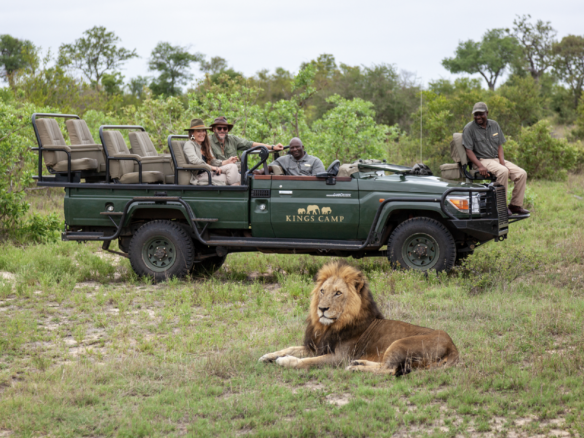 Cape Town to Greater Kruger Fly-In Safari