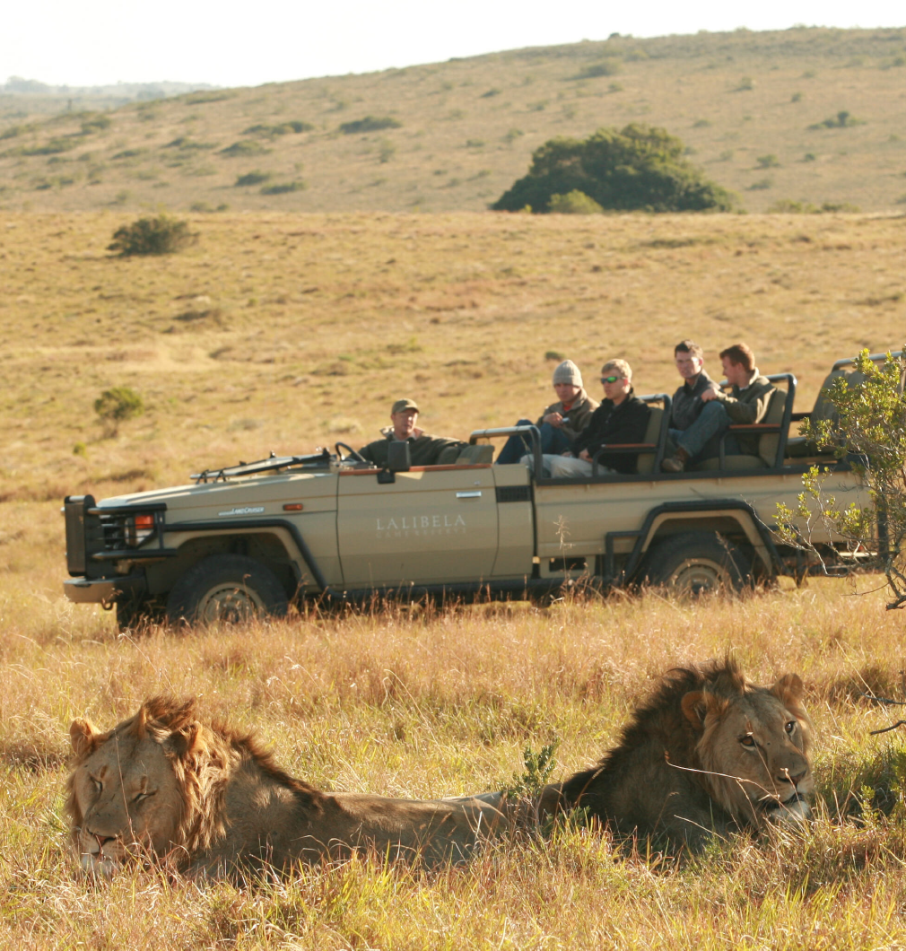 Kichaka Lodge, Lalibela Game Reserve