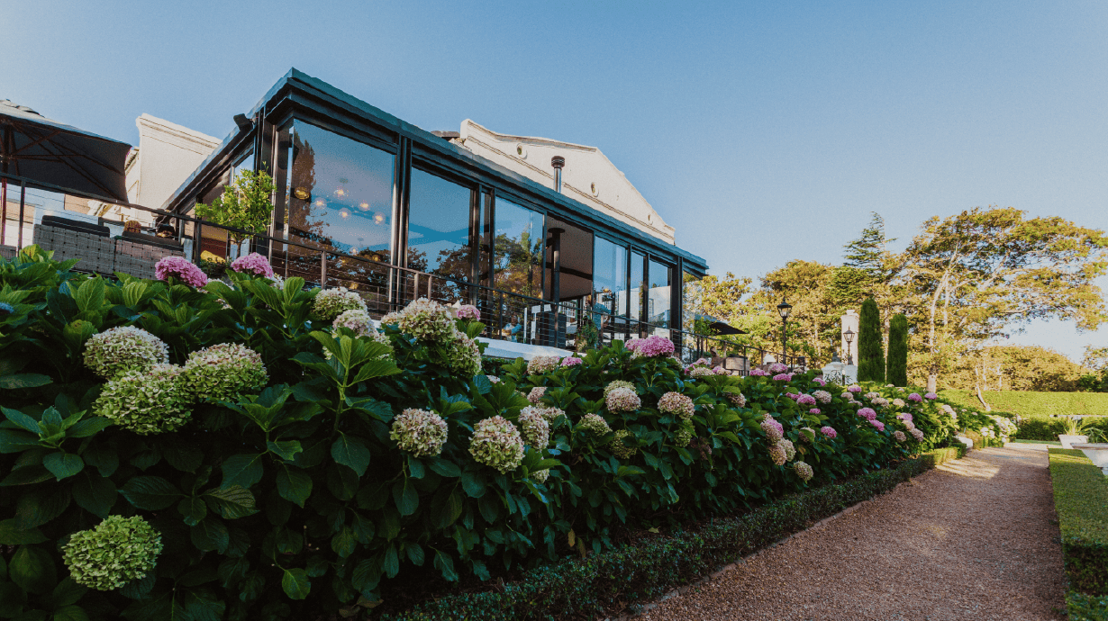 Alphen_Eat. Incognito. 1