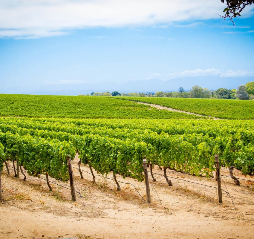 Alphen_Location. Banner