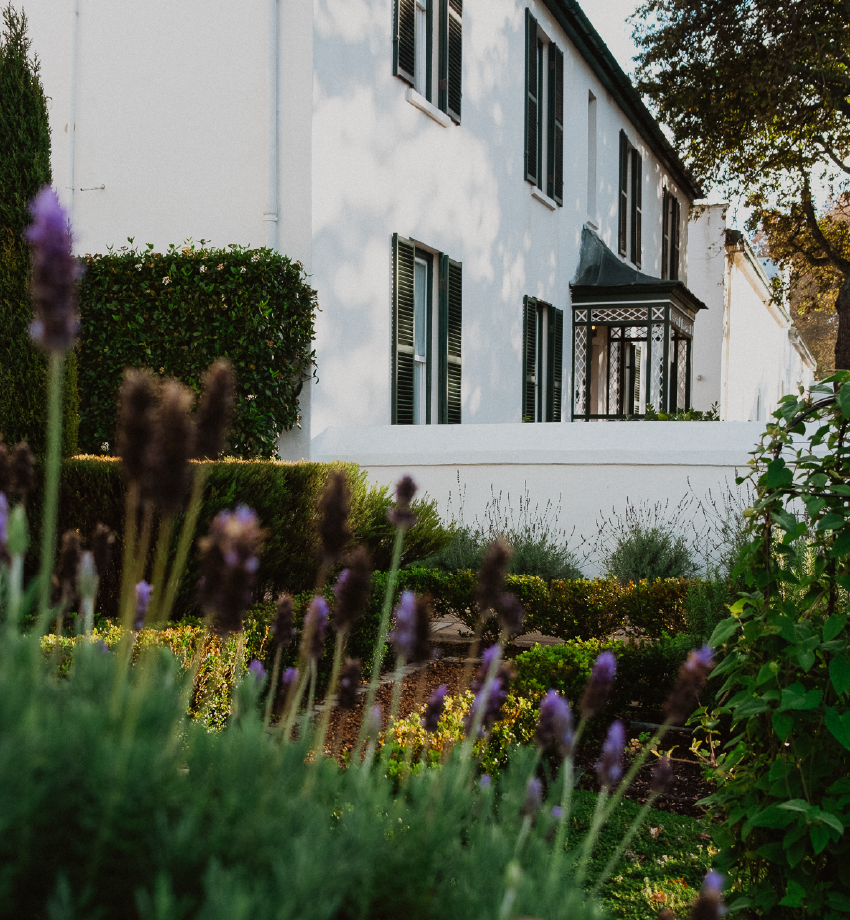 The Alphen Website_Summer Long-Lead_Image 2